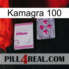 Kamagra 100 32